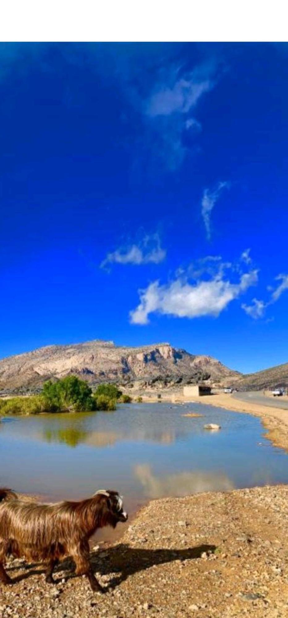 Dar Sawda جبل شمس Jabal Shams Sunset House 빌라 외부 사진